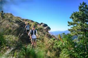 BIB: 
                            <button type="button" onclick="openModal(26599207)" class="btn btn-primary btn-sm float-right btn-popup" data-toggle="modal" data-target=".modal-high-quality">
                        <i class="fas fa-shopping-cart"></i> Add to Cart
                    </button>
                                            <button type="button" onclick="isThisMe(26599207, true)" class="btn btn-success btn-sm float-right btn-popup btn-isme hidden" data-toggle="tooltip" data-placement="bottom" title="นี่คือรูปของคุณใช่ไหม คลิกที่นี่เพื่อเอาเข้าอัลบั้ม">
                        <i class="fas fa-plus"></i> Add to album
                    </button>
                    <button type="button" onclick="isThisMe(26599207, false)" class="btn btn-warning btn-sm float-right btn-popup btn-isnotme hidden">
                        <i class="fas fa-ban"></i> Remove from album
                    </button>